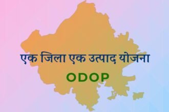 एक जिला एक उत्पाद (ODOP) योजना: स्थानीय उत्पादों को वैश्विक पहचान दिलाने की पहल