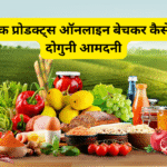 ऑर्गेनिक प्रोडक्ट्स ऑनलाइन बेचकर कैसे कमाएँ दोगुनी आमदनी