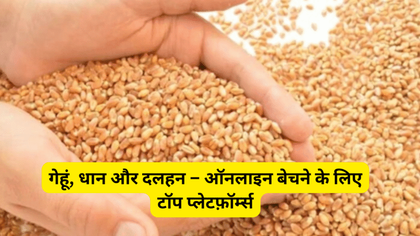 गेहूं, धान और दलहन – ऑनलाइन बेचने के लिए टॉप प्लेटफ़ॉर्म्स