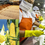 मकई, गेहूं, फल-सब्ज़ियों को ऑनलाइन बेचने के लिए प्रोसेसिंग कैसे करें?