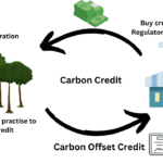 Carbon Capture & Carbon Credit Projects 2025