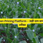 AI-Driven Pricing Platform – सही दाम प्राप्त करने का तरीका
