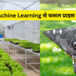 AI & Machine Learning से फसल प्राइस प्रेडिक्शन