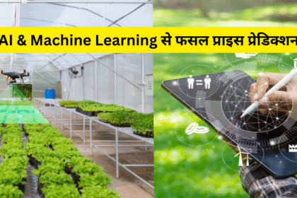 AI & Machine Learning से फसल प्राइस प्रेडिक्शन