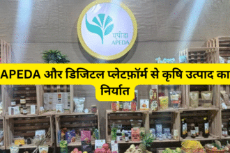 APEDA और डिजिटल प्लेटफ़ॉर्म से कृषि उत्पाद का निर्यात