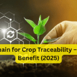 Blockchain for Crop Traceability – Farmer Benefit (2025)
