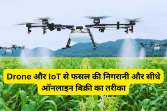 Drone और IoT से फसल की निगरानी और सीधे ऑनलाइन बिक्री का तरीका