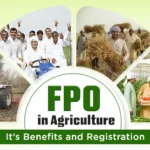 FPO (Farmer Producer Organisations) और ऑनलाइन बिज़नेस: किसानों के लिए डिजिटल मार्केटिंग का अवसर