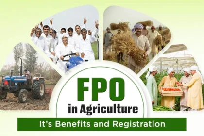 FPO (Farmer Producer Organisations) और ऑनलाइन बिज़नेस: किसानों के लिए डिजिटल मार्केटिंग का अवसर