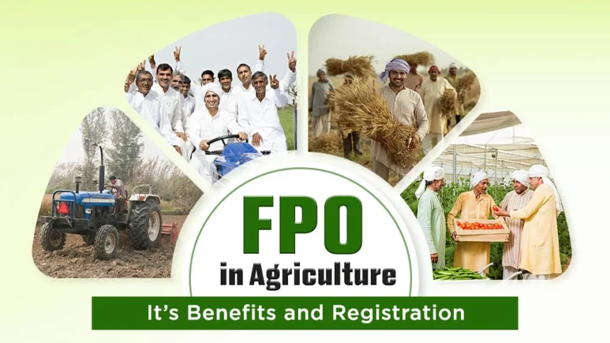 FPO (Farmer Producer Organisations) और ऑनलाइन बिज़नेस: किसानों के लिए डिजिटल मार्केटिंग का अवसर