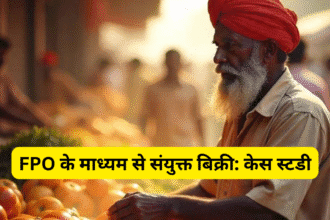 FPO के माध्यम से संयुक्त बिक्री: केस स्टडी