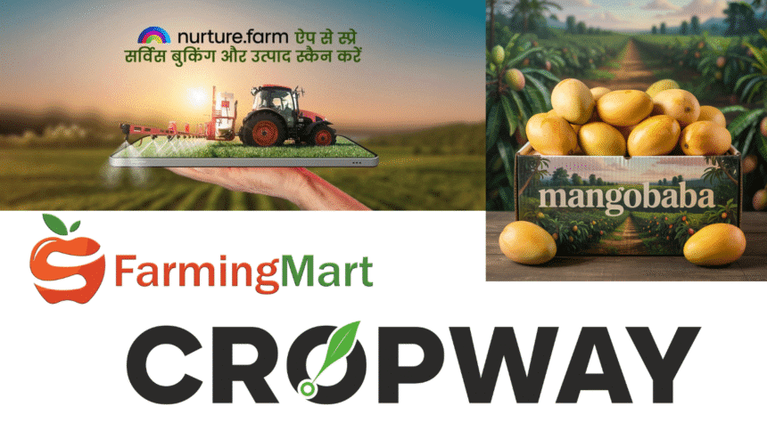 Farm-to-Home मॉडल – किसान सीधे ग्राहक तक