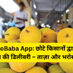MangoBaba App: छोटे किसानों द्वारा सीधे आम की डिलीवरी – ताज़ा और भरोसेमंद