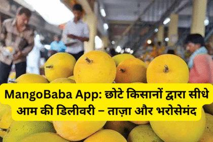 MangoBaba App: छोटे किसानों द्वारा सीधे आम की डिलीवरी – ताज़ा और भरोसेमंद