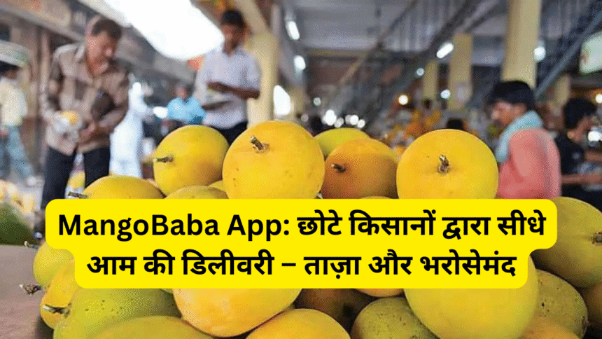 MangoBaba App: छोटे किसानों द्वारा सीधे आम की डिलीवरी – ताज़ा और भरोसेमंद