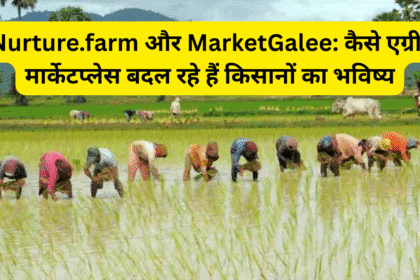 Nurture.farm और MarketGalee: कैसे एग्री-मार्केटप्लेस बदल रहे हैं किसानों का भविष्य