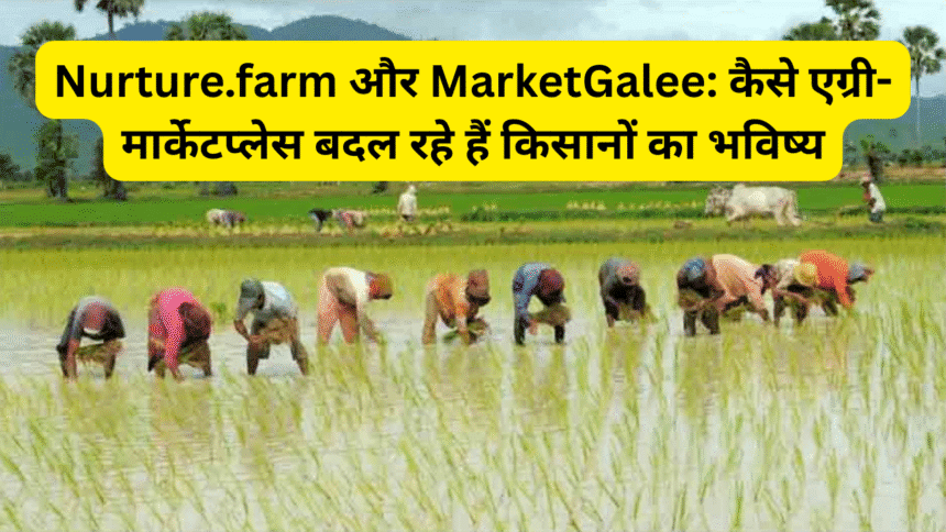 Nurture.farm और MarketGalee: कैसे एग्री-मार्केटप्लेस बदल रहे हैं किसानों का भविष्य