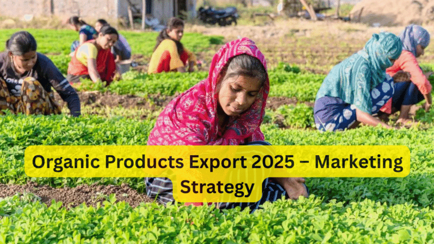 Organic Products Export 2025 – Marketing Strategy