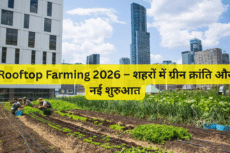 Rooftop Farming 2026 – शहरों में ग्रीन क्रांति और नई शुरुआत