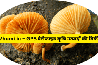 Vhumi.in – GPS वेरीफाइड कृषि उत्पादों की बिक्री