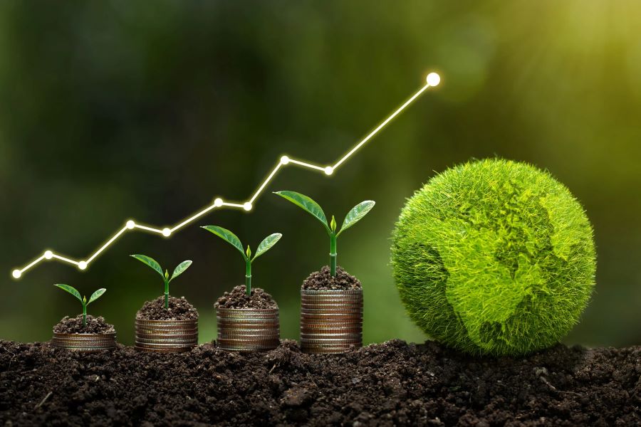 Green Financing & Subsidy Schemes for Startups 2025