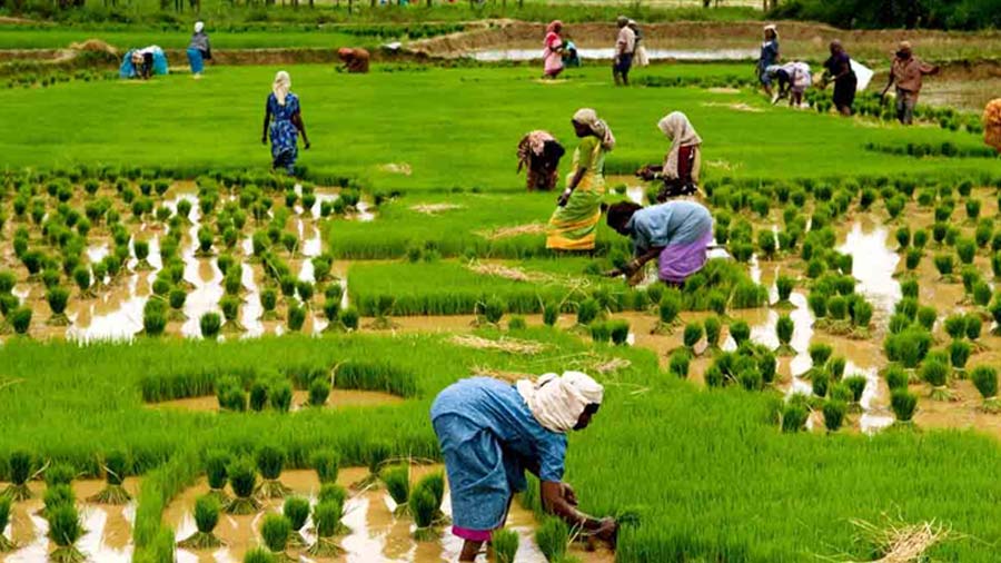 हरित क्षेत्रों और शहरी नियोजन में तकनीक का महत्व