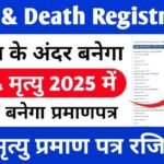 Online Birth & Death Certificate 2025 – पूरी गाइड