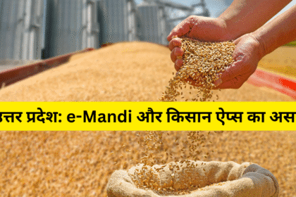 उत्तर प्रदेश: e-Mandi और किसान ऐप्स का असर