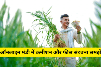 ऑनलाइन मंडी में कमीशन और फीस संरचना समझें
