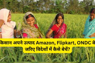 किसान अपने उत्पाद Amazon, Flipkart, ONDC के जरिए विदेशों में कैसे बेचें?
