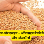 गेहूं, धान और दलहन – ऑनलाइन बेचने के लिए टॉप प्लेटफ़ॉर्म्स