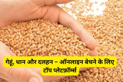 गेहूं, धान और दलहन – ऑनलाइन बेचने के लिए टॉप प्लेटफ़ॉर्म्स
