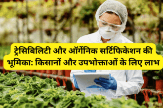 ट्रेसिबिलिटी और ऑर्गेनिक सर्टिफिकेशन की भूमिका: किसानों और उपभोक्ताओं के लिए लाभ