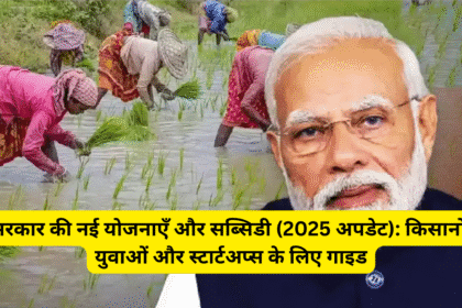 सरकार की नई योजनाएँ और सब्सिडी (2025 अपडेट): किसानों, युवाओं और स्टार्टअप्स के लिए गाइड