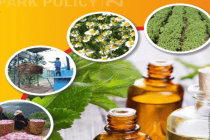 Aroma Revolution Policy 2026–2036 – Uttarakhand में किसान बनेंगे Aromatic & Medicinal Plants के Champion