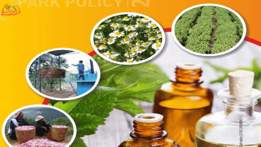 Aroma Revolution Policy 2026–2036 – Uttarakhand में किसान बनेंगे Aromatic & Medicinal Plants के Champion
