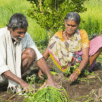 Organic Bharat Mission 2025 – जैविक खेती को बढ़ावा देने की नई नीति