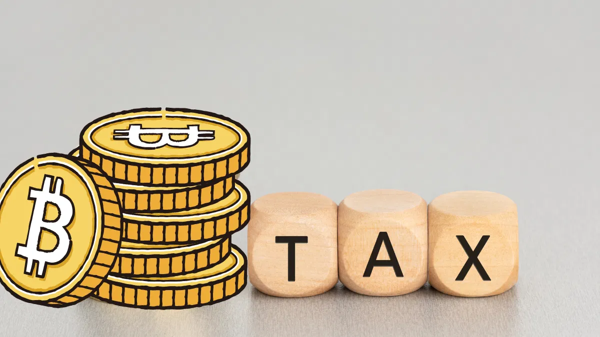 Digital Tax Havens क्या हैं?