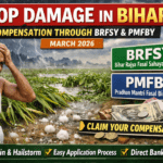 बिहार में बारिश और ओलावृष्टि से फसल नुकसान हुआ। जानें BRFSY और PMFBY के तहत मुआवज़ा पाने का आसान तरीका, स्टेप-बाय-स्टेप गाइड।