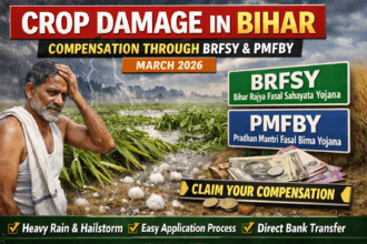 बिहार में बारिश और ओलावृष्टि से फसल नुकसान हुआ। जानें BRFSY और PMFBY के तहत मुआवज़ा पाने का आसान तरीका, स्टेप-बाय-स्टेप गाइड।