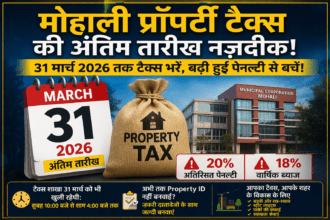 Mohali Property Tax Deadline 2026