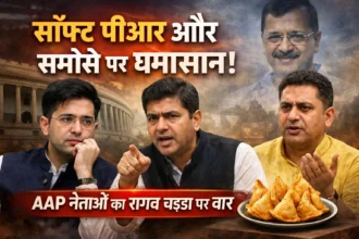 soft-pr-samosa-swipe-raghav-chadha-demotion-aap