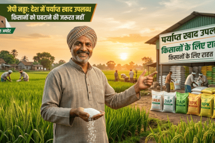 Fertiliser Update: किसानों के लिए राहत