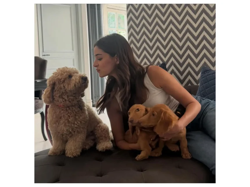 ananya-panday-dogs-photos-instagram-chand-mera-dil-update-2026-hindi
