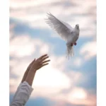 awarapan-2-release-date-emraan-hashmi-disha-patani