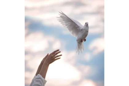 awarapan-2-release-date-emraan-hashmi-disha-patani