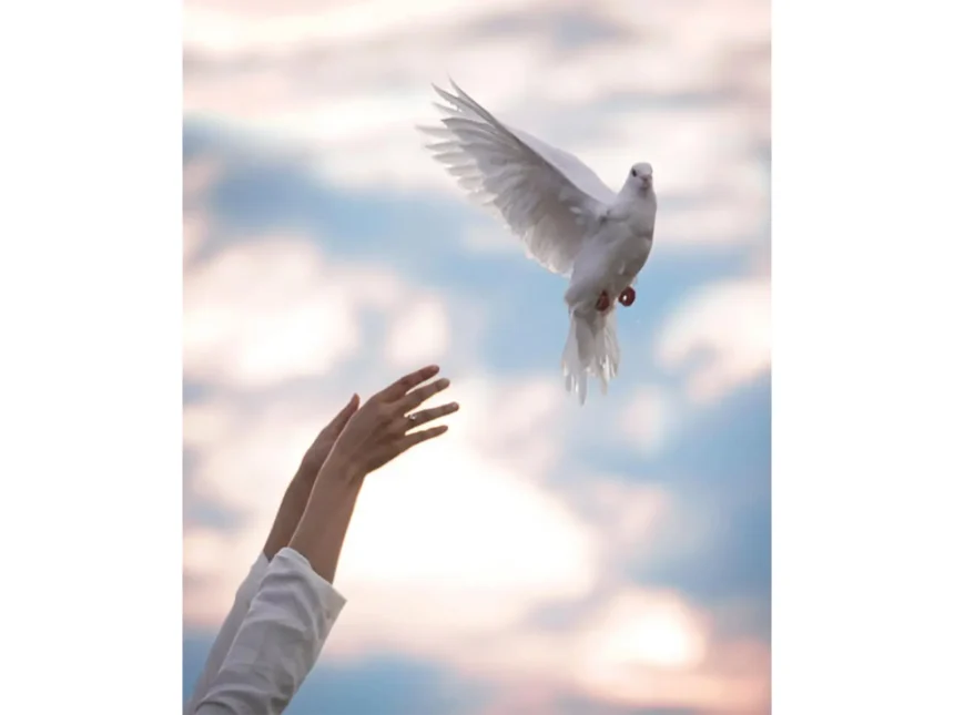 awarapan-2-release-date-emraan-hashmi-disha-patani