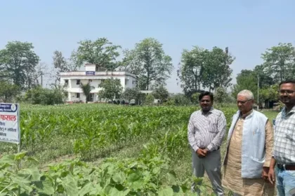 baby-corn-sweet-corn-farming-profit-india-kisan-aay-badhane-ke-tareeke