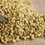coriander-futures-price-fall-ncdex-april-29-hindi