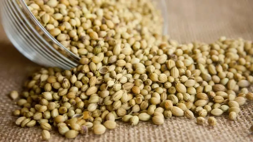 coriander-futures-price-fall-ncdex-april-29-hindi